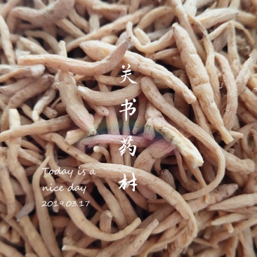太子参选条无硫货关书药材品质保证