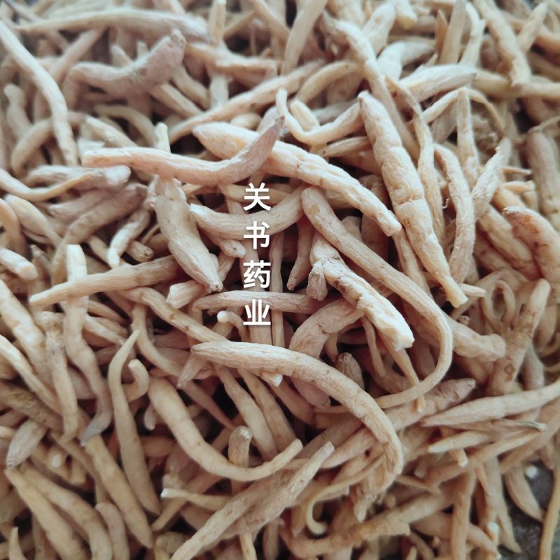 太子参选条无硫货关书药材品质保证