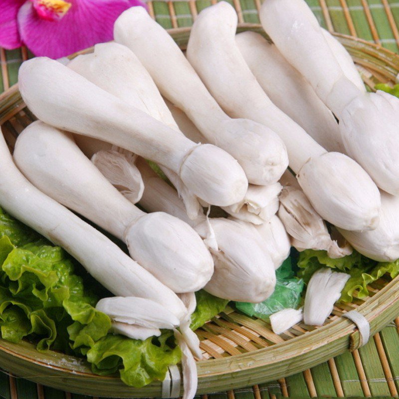 鸡腿菇菌种