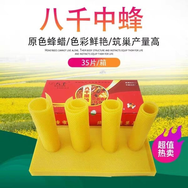 中蜂正品八千巢基础巢础35/片包邮