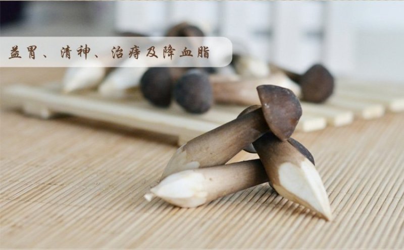 黑皮鸡枞菌菌种供应