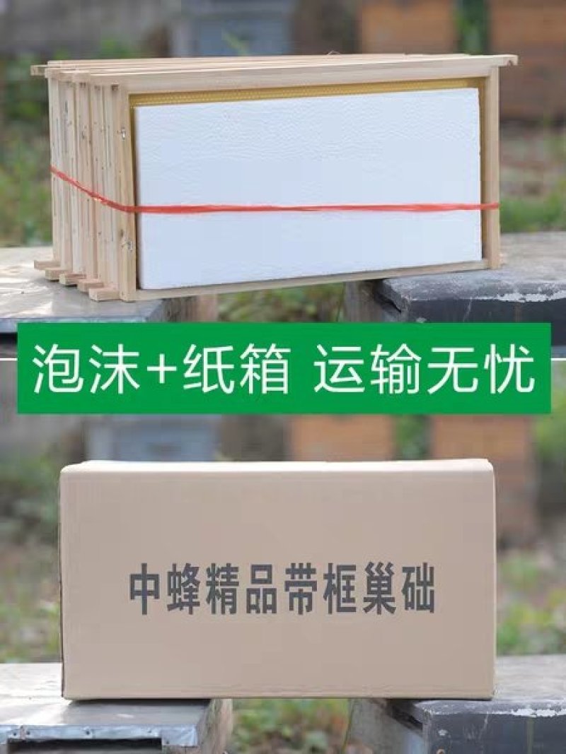 中蜂成品巢框10个/箱包邮