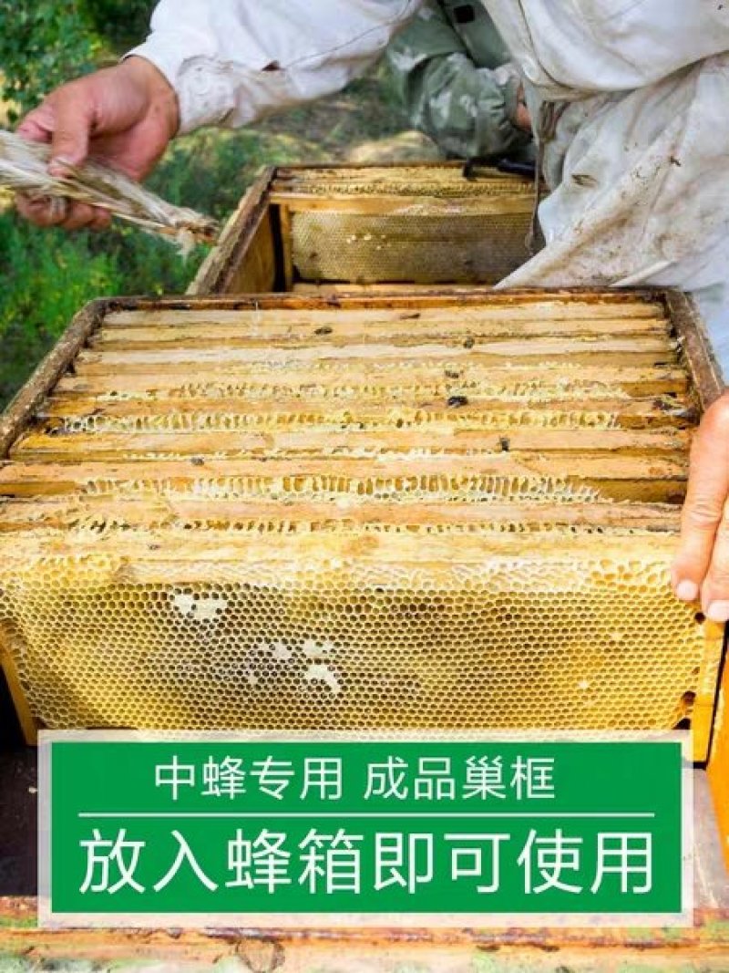 中蜂成品巢框10个/箱包邮