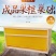 中蜂成品巢框10个/箱包邮