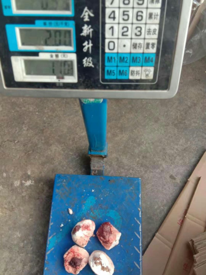 原油羊腰