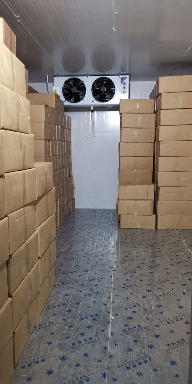 淡干虾皮20斤净重1件，1件起批