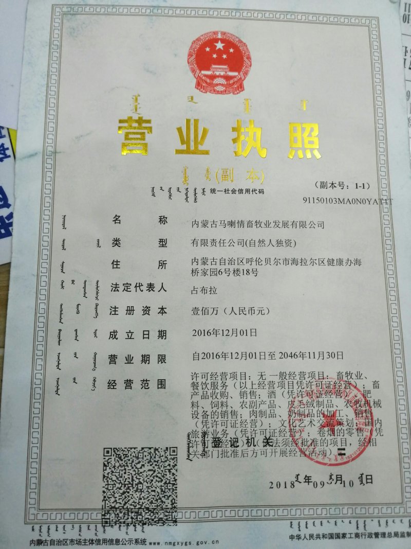 呼伦贝尔草原溜达羊