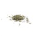 2号绿茶新茶叶散装批发便宜碎茶茶片碎角