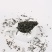 4号绿茶新茶叶散装便宜批发居家用茶口粮茶
