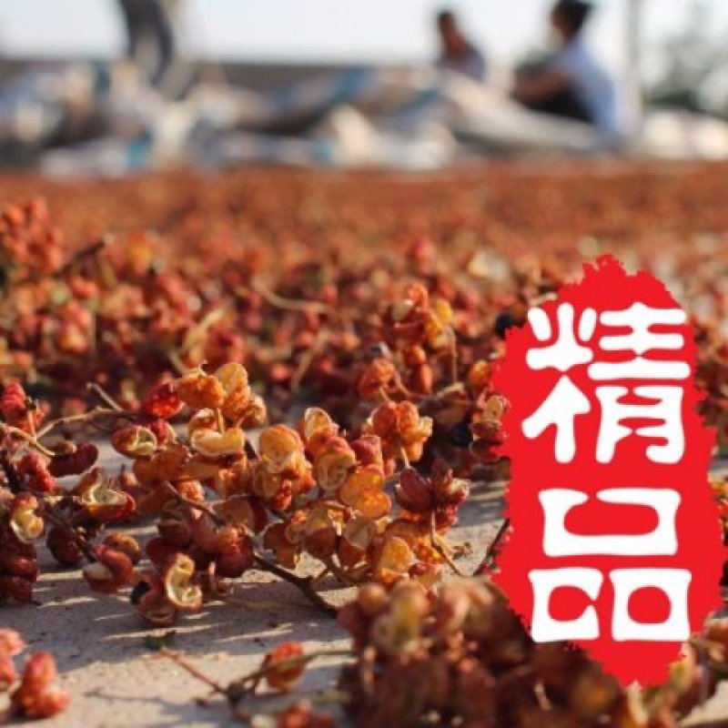 特级韩城纯天然无任何加工大红袍花椒