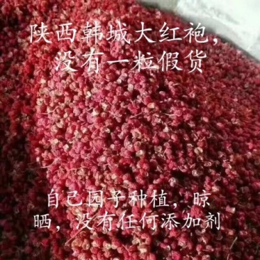特级韩城纯天然无任何加工大红袍花椒