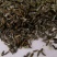苍术种子免费提供种植技术包邮