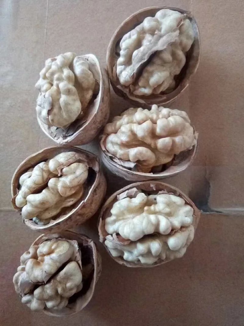 干果阿克苏核桃