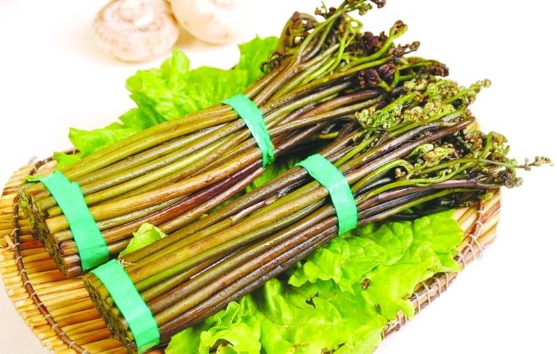 野生蕨菜