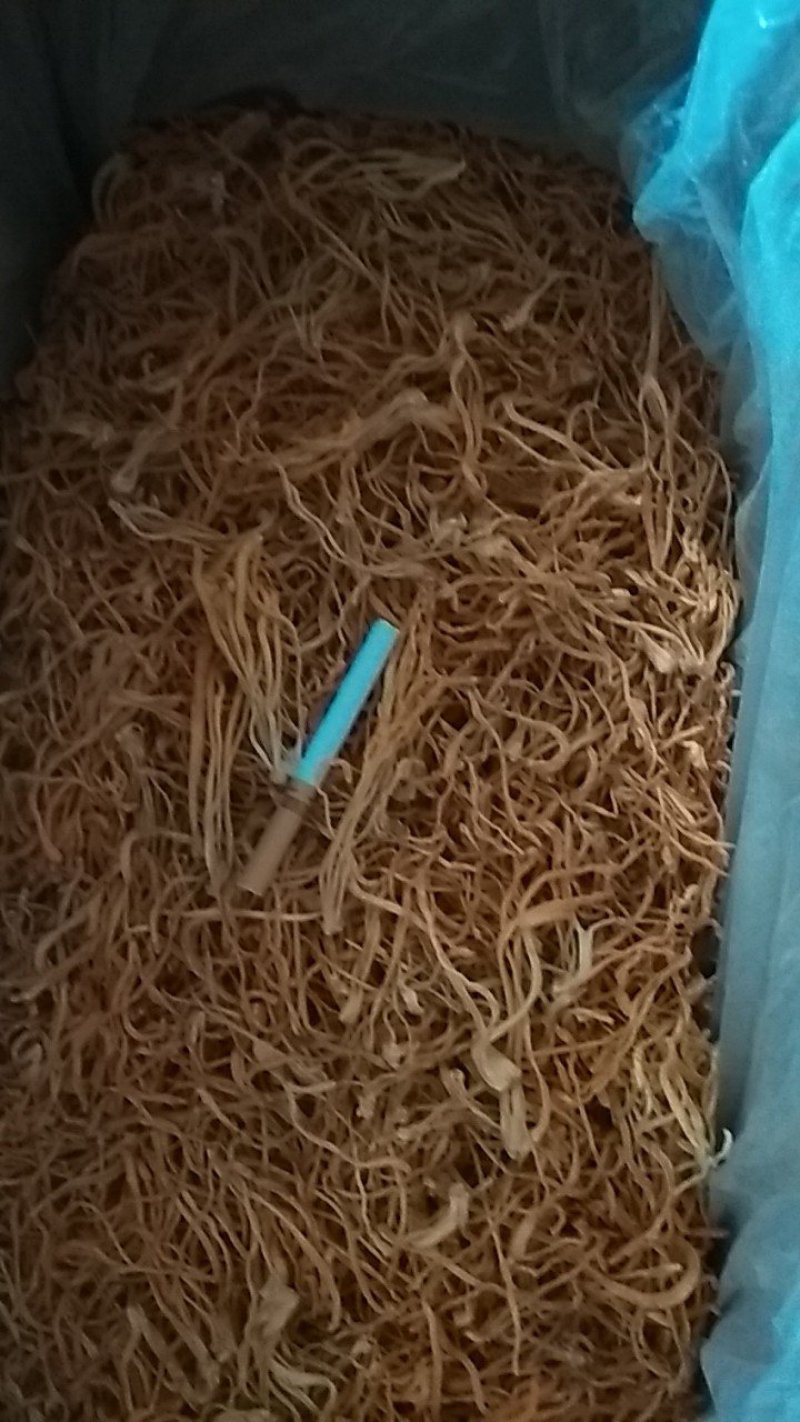 大量优质虫草花直销没有中间商