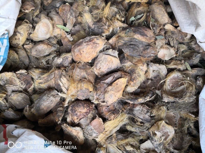 大腹皮海南干货2斤起包邮量大从优