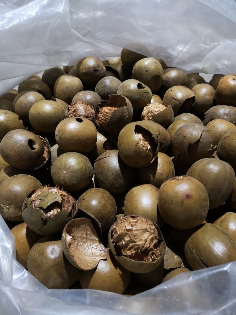 广西罗汉果产地发货龙脊特产永福罗汉果破果花茶
