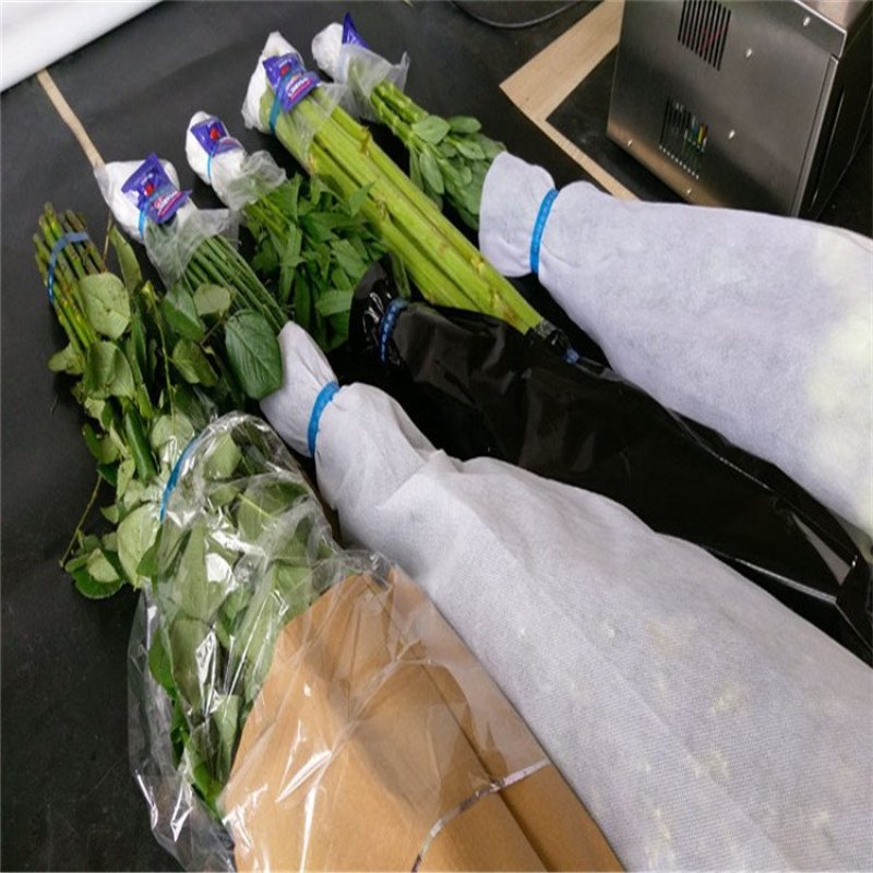 全自动蔬菜扎捆机