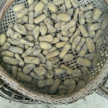 贵州特色灰豆腐果