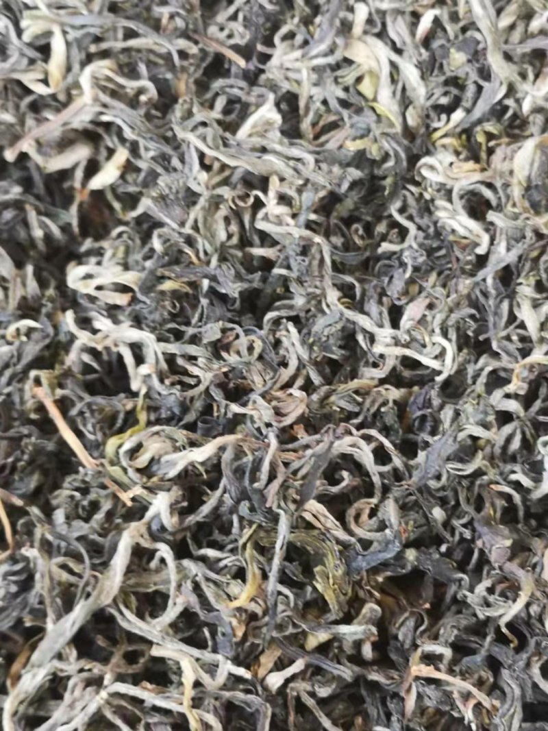 大围山，国家森林公园古树茶