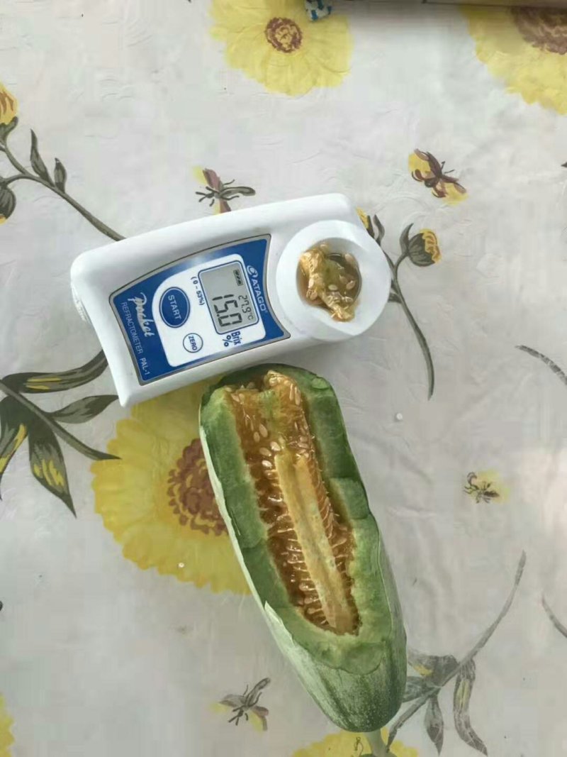 甜瓜