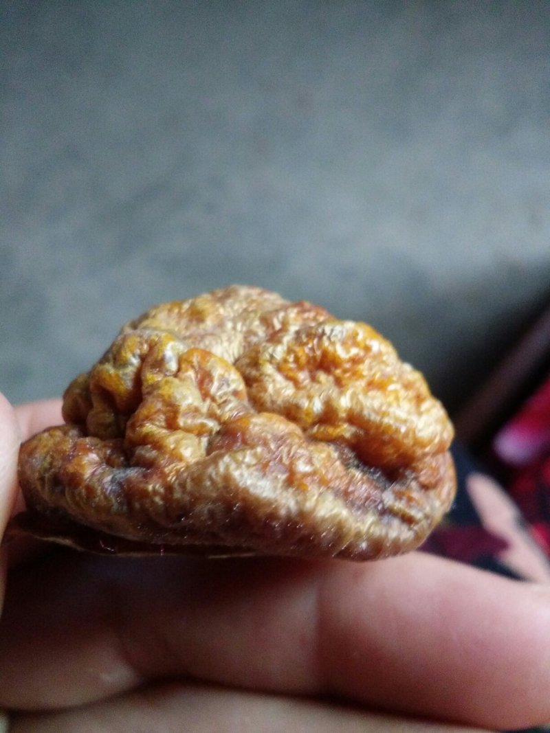 鸡宝