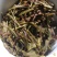 野生型古树茶