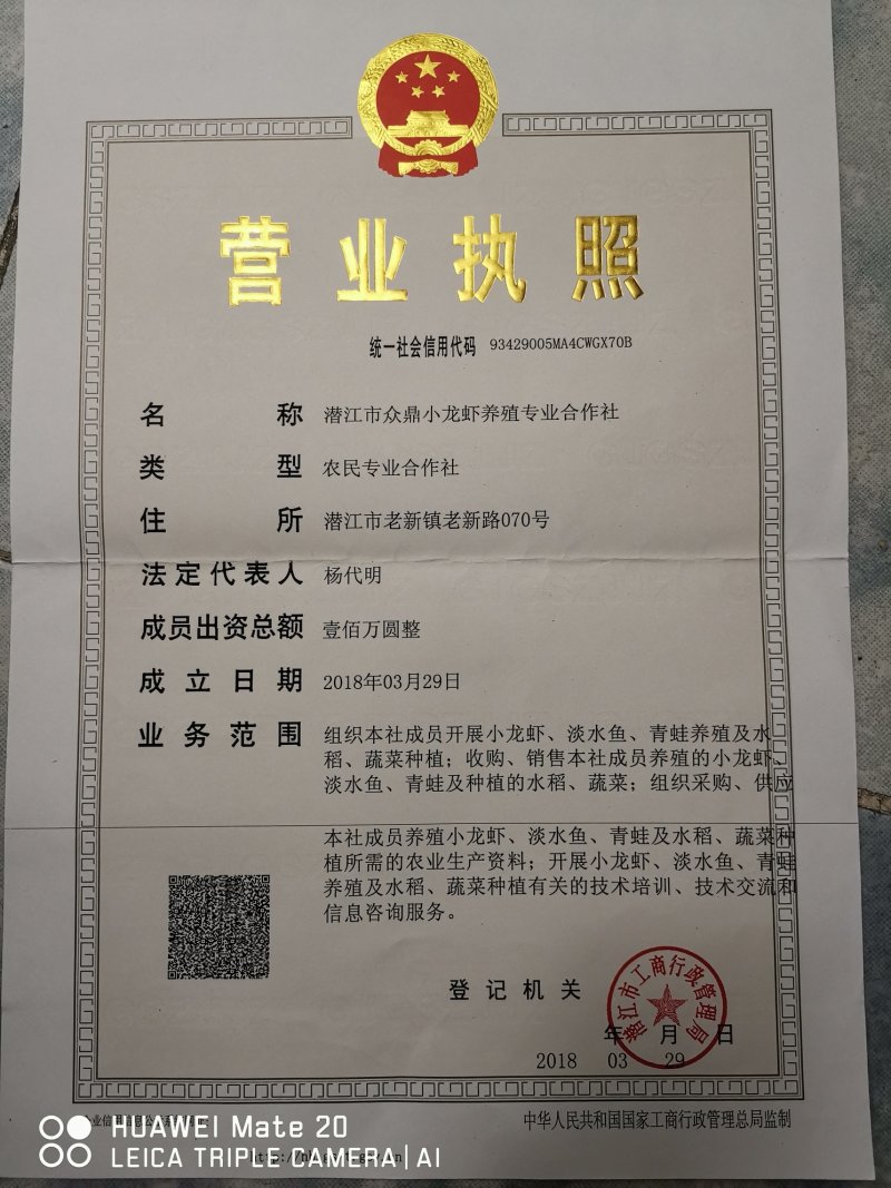 [推荐]精品潜江清水小龙虾纯青活虾，一手货源，运输死包赔