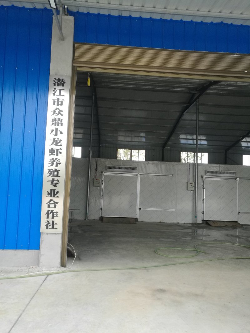 [推荐]精品潜江清水小龙虾纯青活虾，一手货源，运输死包赔