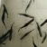 《全国发货》鸭嘴鱼苗匙吻鲟鱼苗成活率高