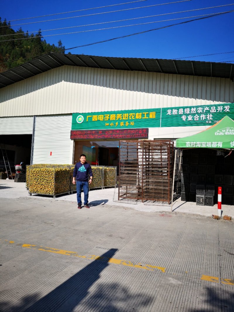 广西罗汉果产地发货龙脊特产永福罗汉果破果花茶