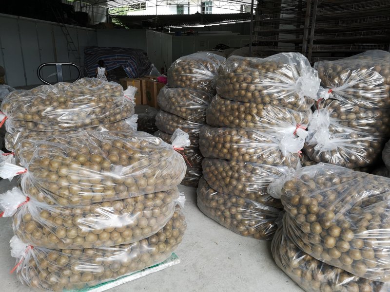 广西罗汉果产地发货龙脊特产永福罗汉果破果花茶