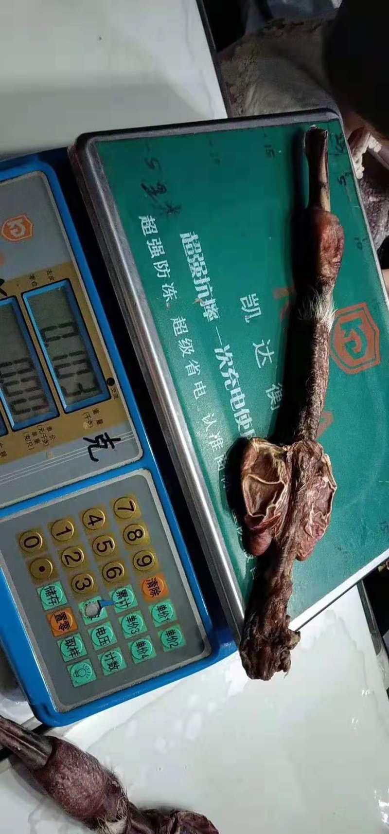 鹿鞭吉林鹿鞭双阳成年纯种鹿鞭泡酒磨粉保纯保真一根
