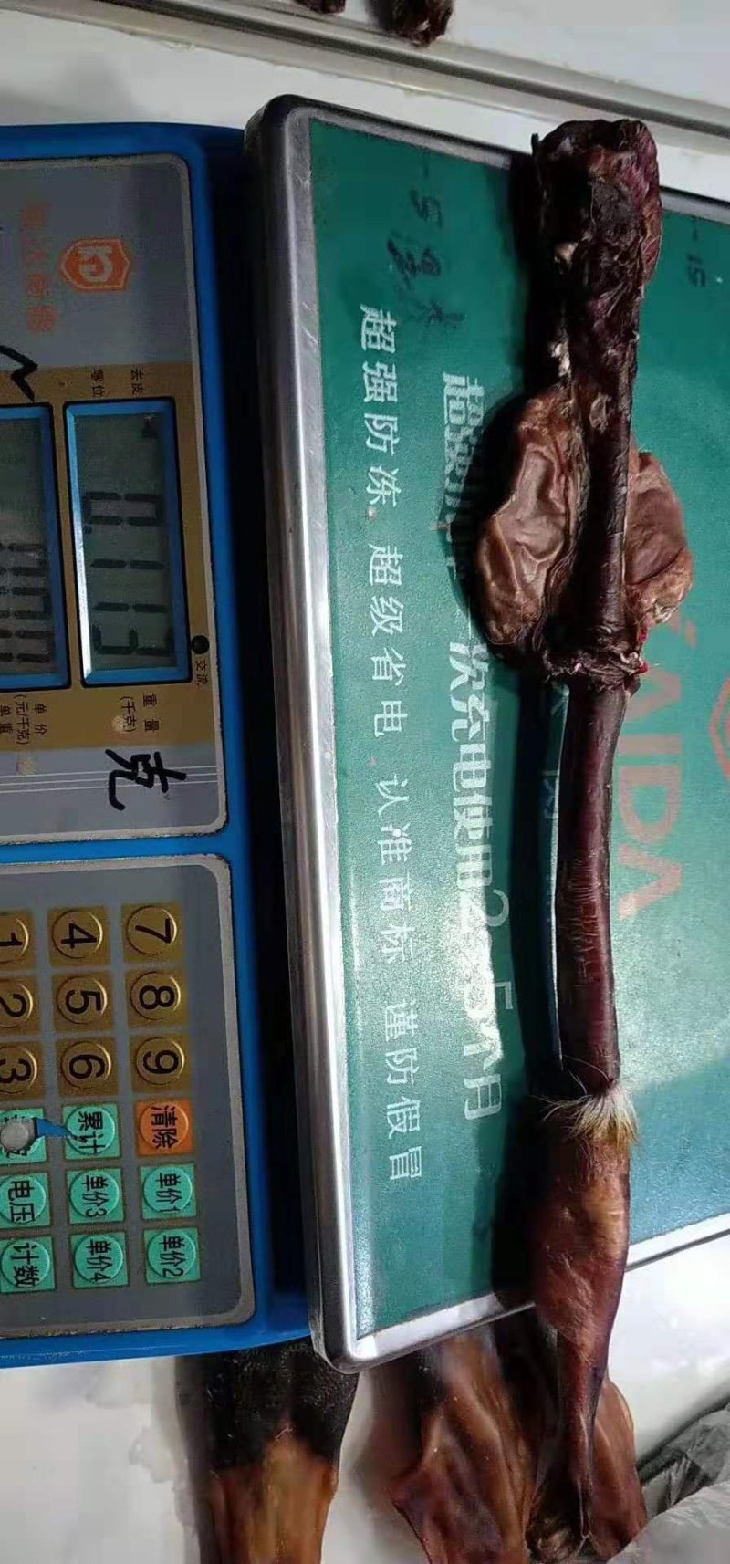 鹿鞭吉林鹿鞭双阳成年纯种鹿鞭泡酒磨粉保纯保真一根