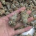 正宗云南文山田七三七量大从优