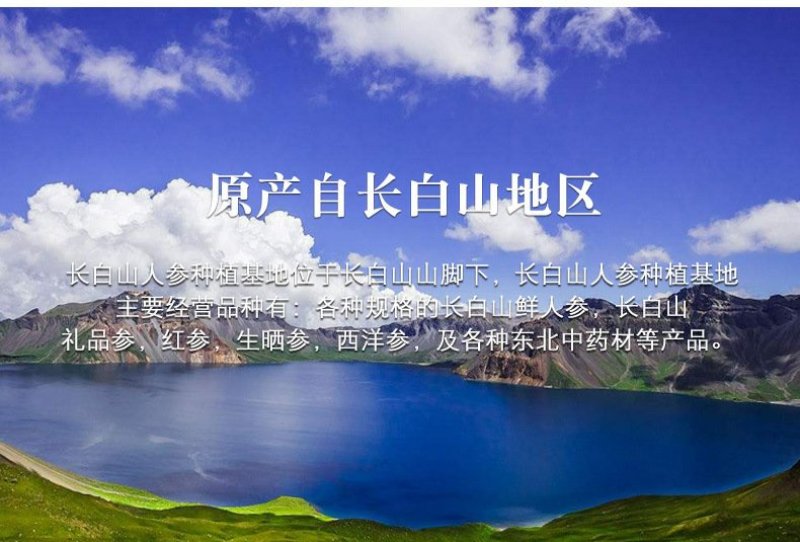 东北特产长白山高丽参片精选无糖参片批发厂家直销