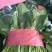 菠菜