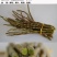 铁皮石斛鲜条500g霍山铁皮枫斗云南四年生石斛枫斗新鲜