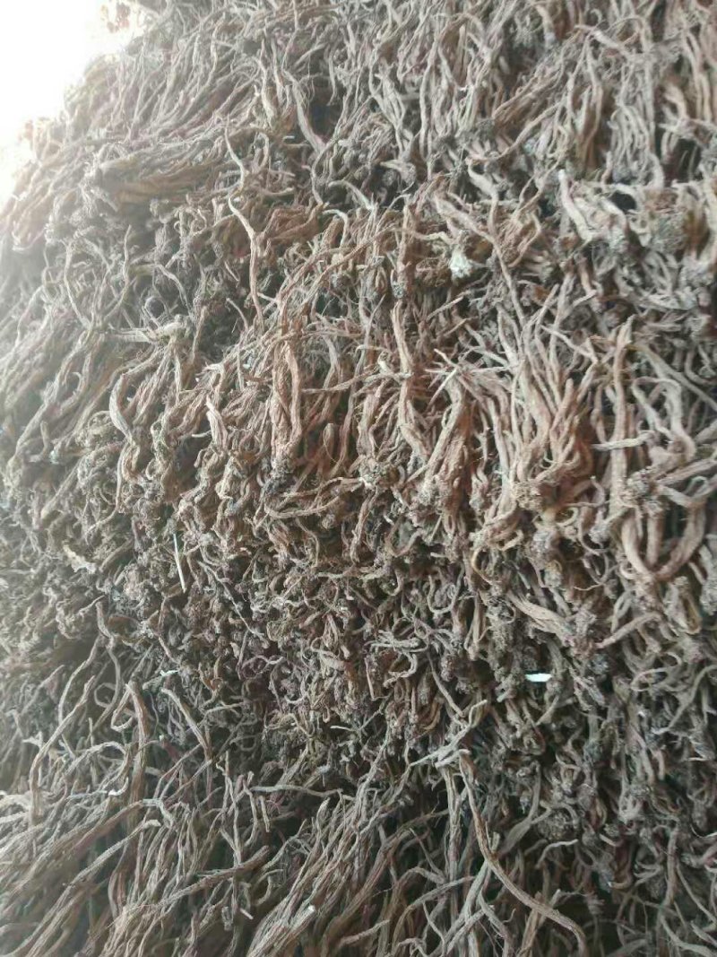 续断(和尚头)批发
