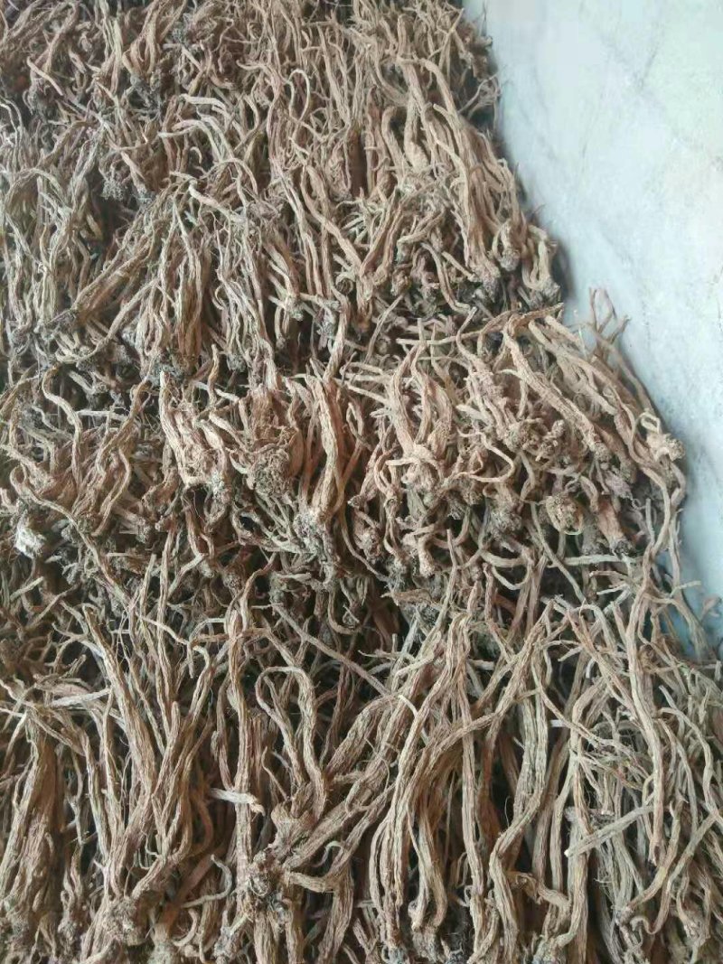 续断(和尚头)批发