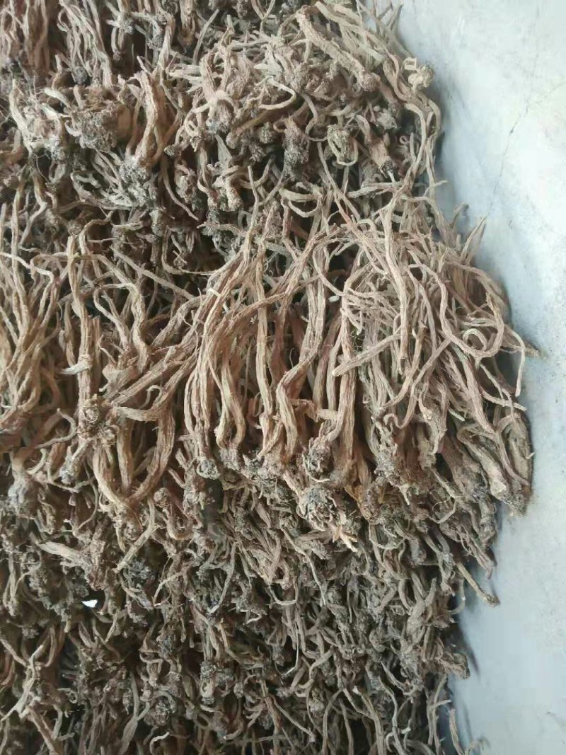 续断(和尚头)批发