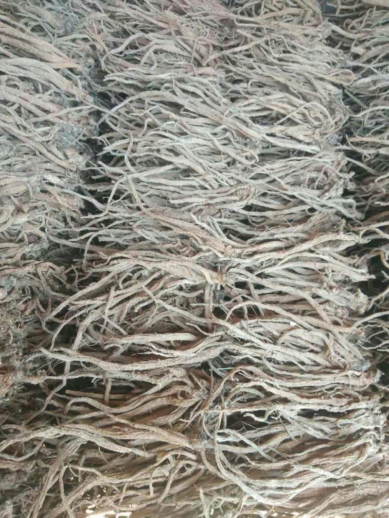 续断(和尚头)批发