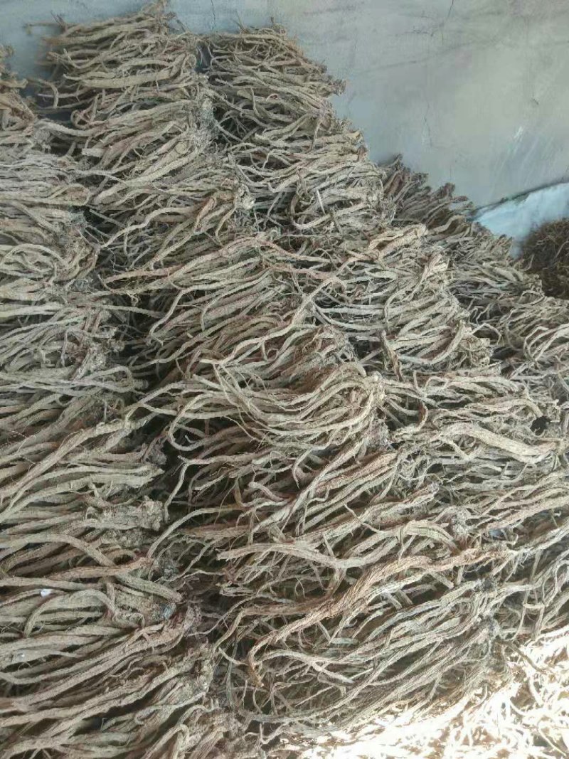 续断(和尚头)批发