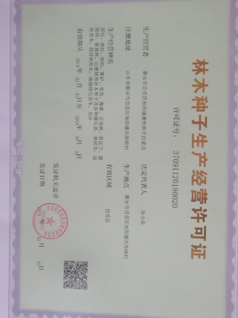 苹果种子保湿鲜种子供应全国各地，出芽率90%以上