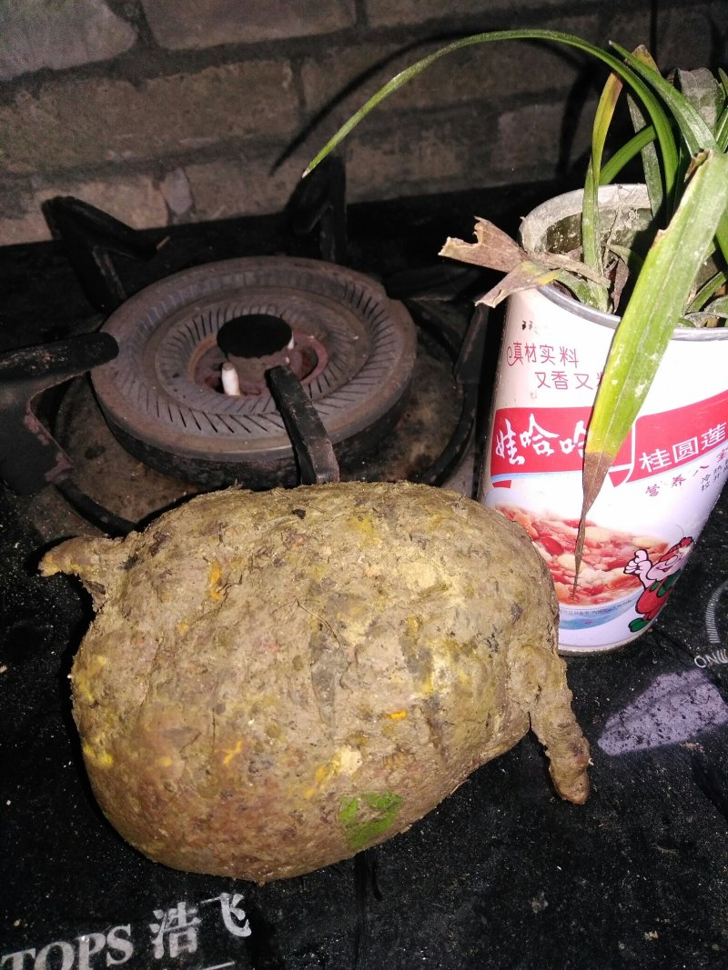 中药根茎类