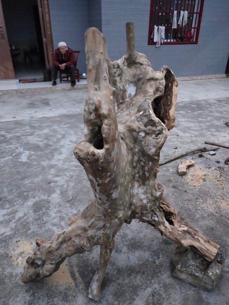 腊梅紫薇老桩精品喜欢的私聊