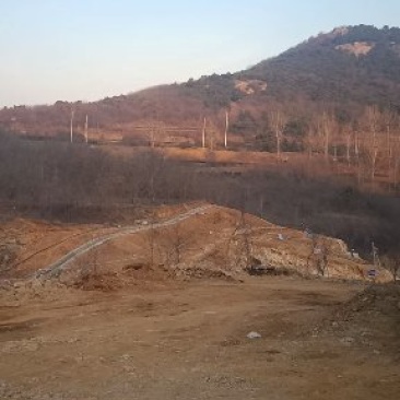 转让山场，山场2佰多亩，土地30亩，有核桃树800多棵，