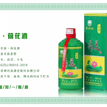 可以代理了快行动起来