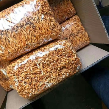 【中粗排草】虫草花干货金虫草蛹虫草北虫草菌菇产地批发