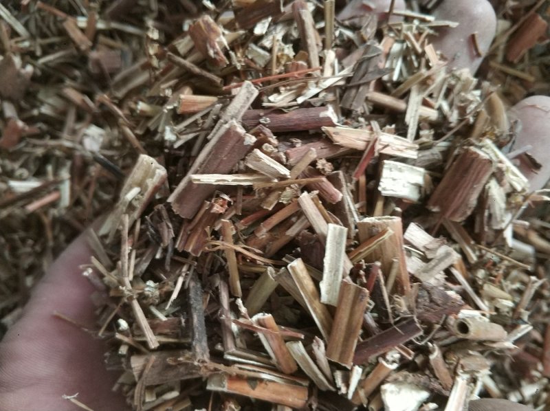 赶黄草货好量大大量有货需要大货提前联系